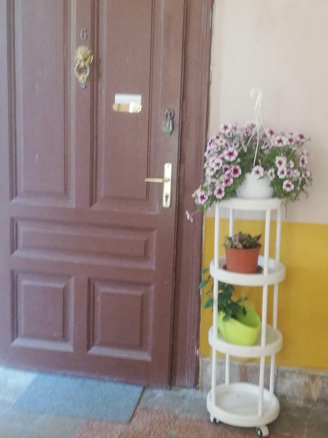 Galeria Apartman سيغيد المظهر الخارجي الصورة